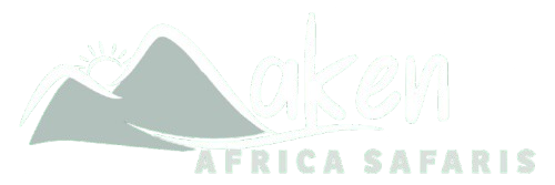 cropped bgg removebg preview.png